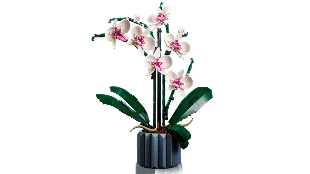 LEGO® Icons 10311 Orchidea