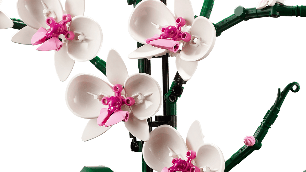 LEGO® Icons 10311 Orchidea